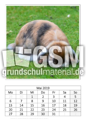 Mai_Kaninchen_2.pdf